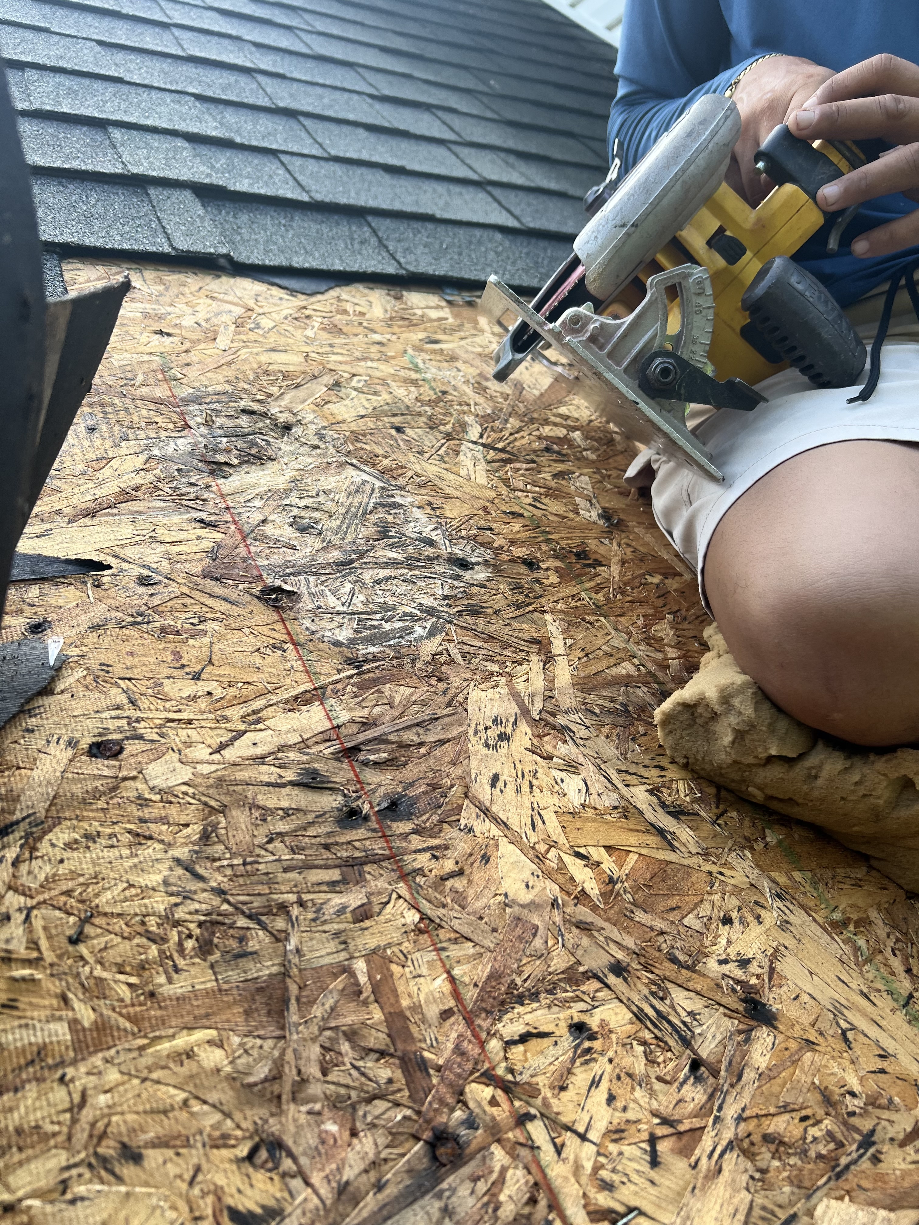 Alpine Restoration roof repair on an asphalt shingle roof in East Tennessee